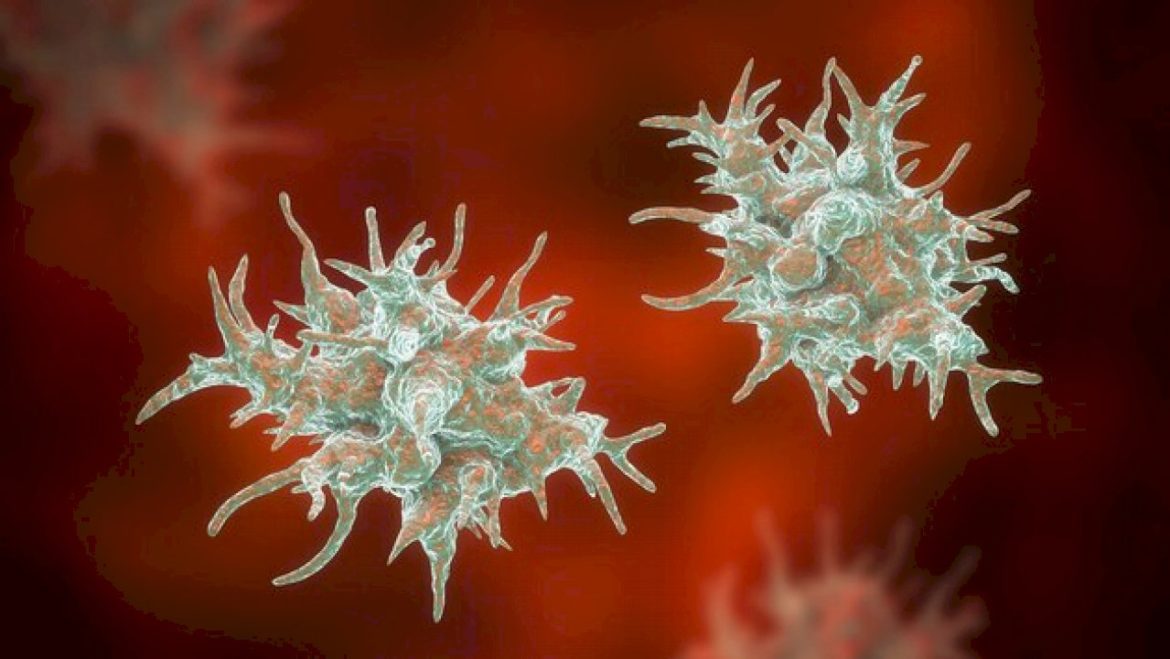 louisiana-health-officials-warn-about-rare-amoeba-infections-after-certain-tap-water-use